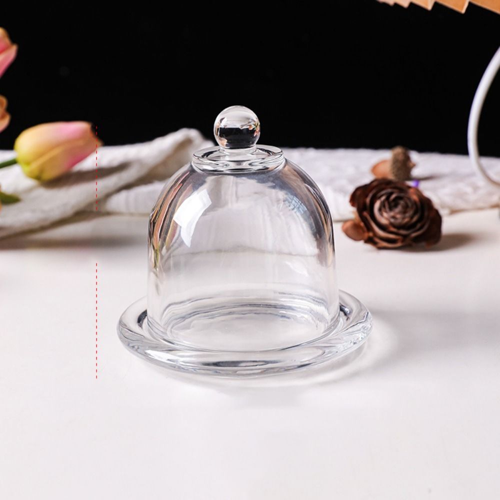 Cake Stand with Lid Cutting Bo - Home Cooking Recipes review and price