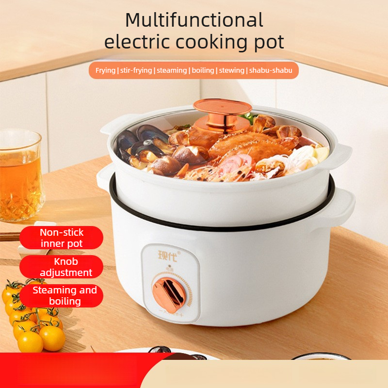 Multifunctional Mini Electric  - Home Cooking Appliances review and price