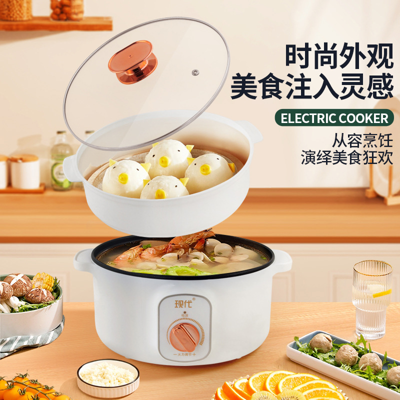 Multifunctional Mini Electric  - Home Cooking Appliances review and price