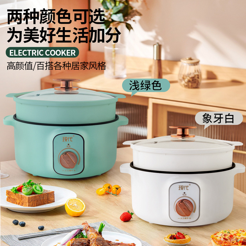 Multifunctional Mini Electric  - Home Cooking Appliances review and price