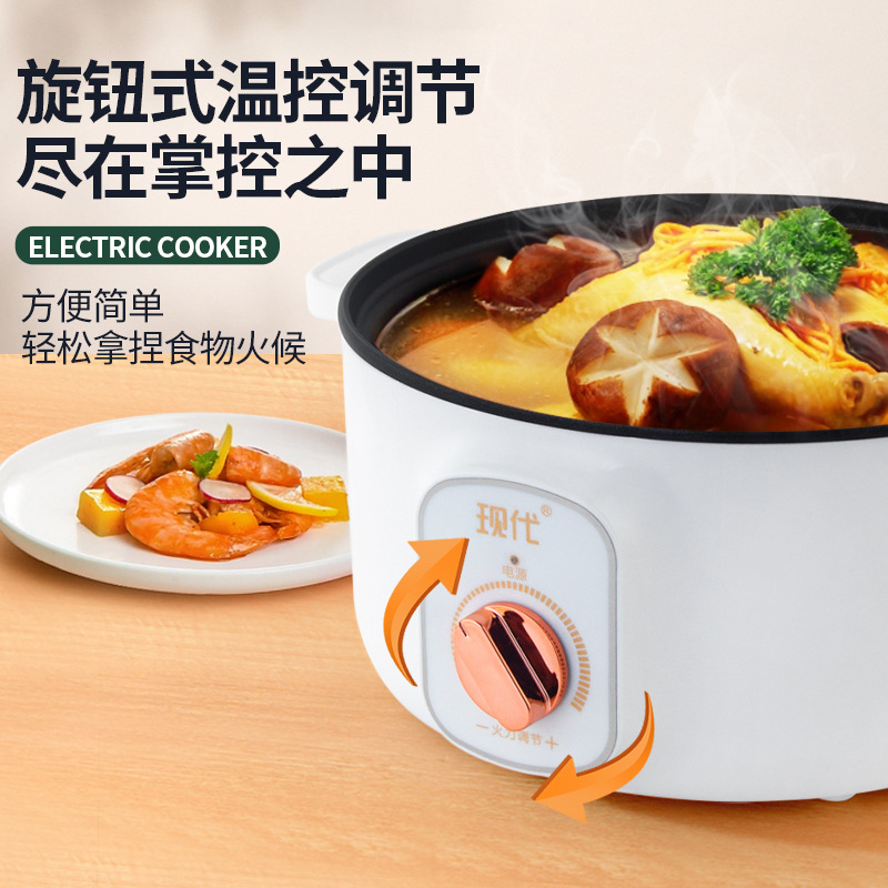 Multifunctional Mini Electric  - Home Cooking Appliances review and price